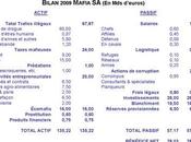 Bilan 2009 l'entreprise MAFIA
