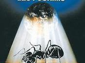 fourmis