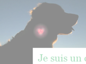 WOUFKI Led, pour être nuit